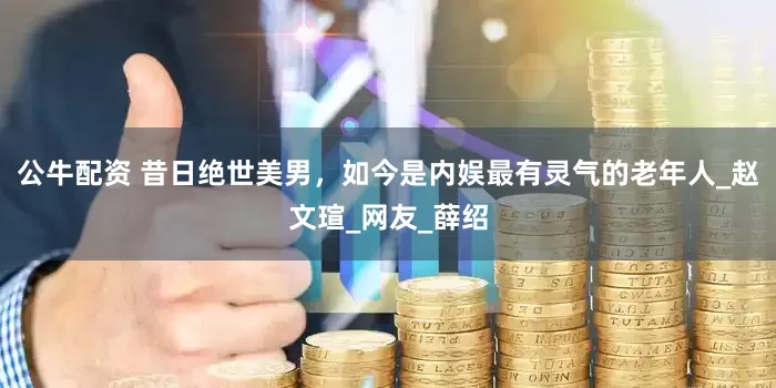 公牛配资 昔日绝世美男，如今是内娱最有灵气的老年人_赵文瑄_网友_薛绍